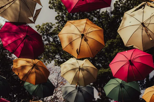 umbrellas